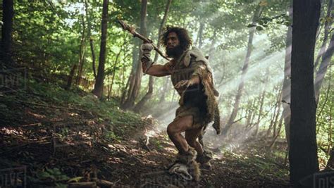 Primeval Caveman Wearing Animal Skin Holds Stone Tipped Spear Looks