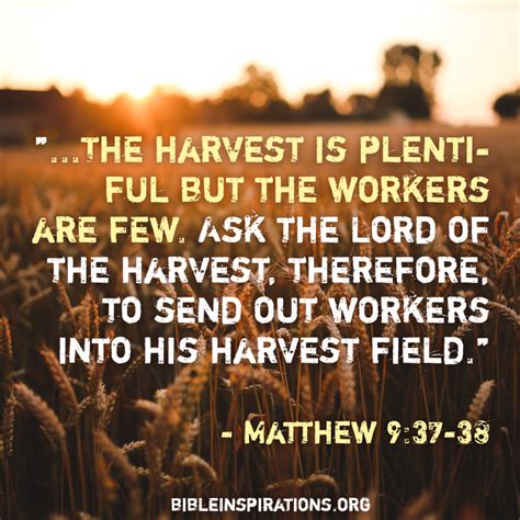 The Harvest Is Plentiful But The Workers Are Few Bible Inspirations