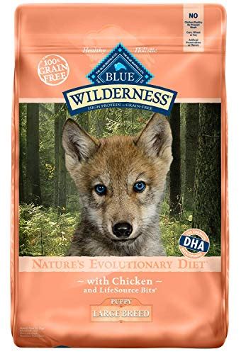 Ollie healthy turkey feast fresh dog food. Best food for German Shepherd puppy in 2019 🦴 GoodPuppyFood