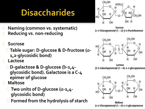 Ppt Carbohydrates Powerpoint Presentation Free Download