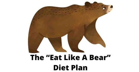 Eat Like A Bear Diet Plan And Recipe