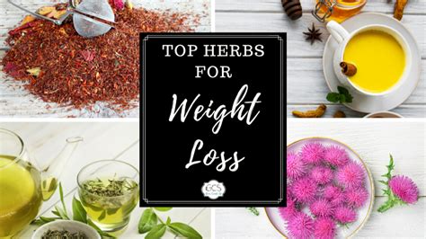 Could Tea Help You Lose Weight Top Herbs For Weight Loss