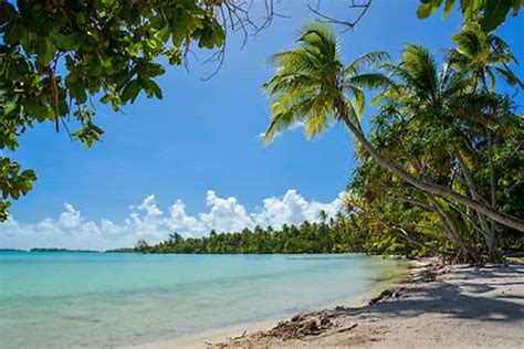 Le forum koh lanta 2021 en polynésie française : Koh-Lanta: le tournage de la prochaine saison prendra place en Polynésie ! - Toutes les ...