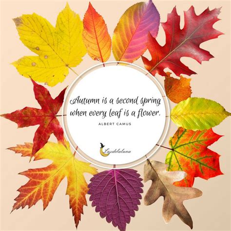 20 Beautiful Autumn Quotes That Will Make You Fall In Love With Fall