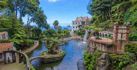 Billiga Resor Till Funchal Madeira Reseguiden