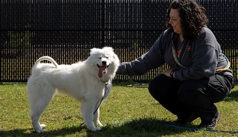 From Rescue To Rehab Puppy Mill Victims Get A Second Chance Aspca