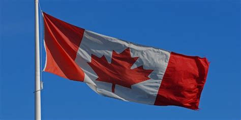 Check spelling or type a new query. Insider Trading Canada - 3 Free Resources for Tracking the ...