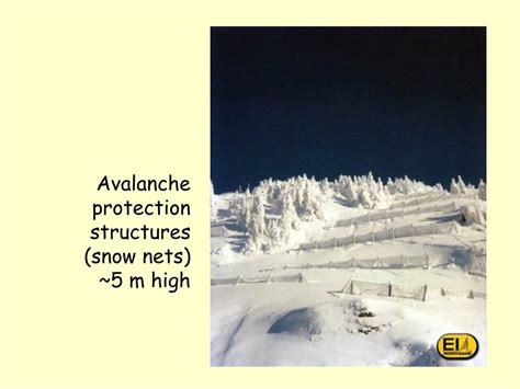 Ppt Avalanches A Warning Powerpoint Presentation Free Download