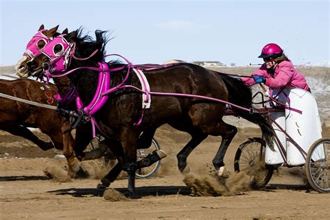 Chariot Races Yahoo Image Search Results Yahoo Images Image Search