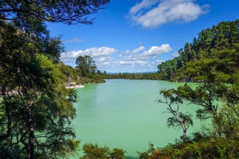 Green Sulphur Lake Rotorua Stock Image Image Of Outdoor