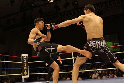 Free Images Japan Strike Punch Mixed Martial Arts Mma Shooto Maza Fight Kickboxing