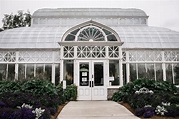 Volunteer Park Conservatory | Seattle Intimate Wedding Venue | Liz + Jake