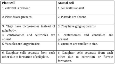 The difference is due to the mode of nutrition as animals are heterotrophs and plants are autotrophs. 2. How is a prokaryotic cell different from a eukaryotic cell?