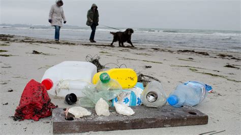 Plastikmüll Im Meer Aufbruch Zum „müll Kontinent“ Im Pazifik
