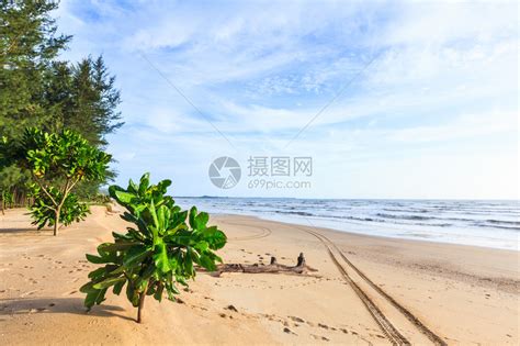 通往大海的金色沙滩上的足迹高清图片下载 正版图片503538393 摄图网
