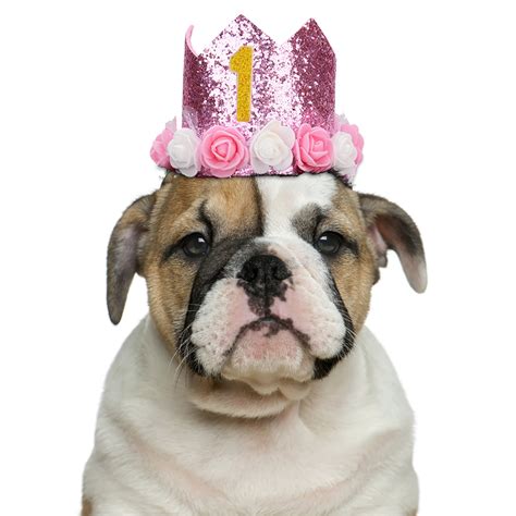 Fashion Pet Birthday Hats Cute Sequin Crown Dog Birthday Hat Etsy