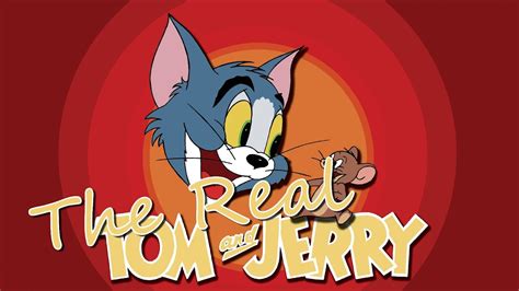 Several cartoons imply that tom and jerry are actually friends who enjoy their game of chase. The Real Tom and Jerry - YouTube