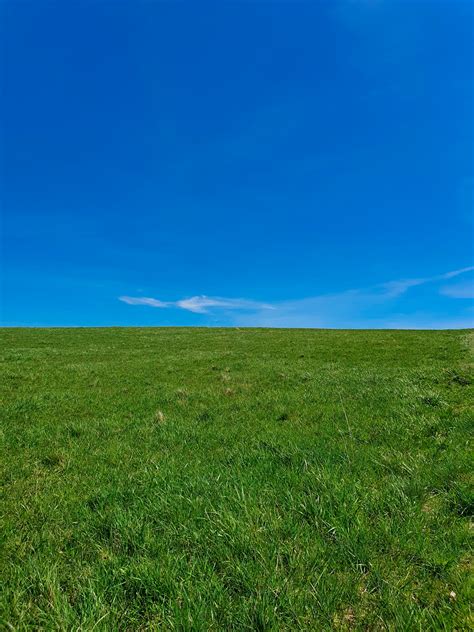 Green Grass And Blue Sky Free Stock Photo Public Domain Pictures