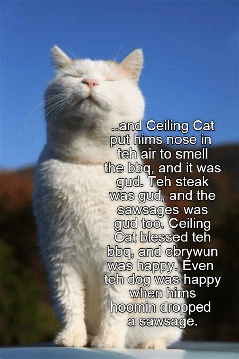 Reddit gives you the best of the internet in one place. Lolcats - Page 80 - LOL at Funny Cat Memes - Funny cat ...