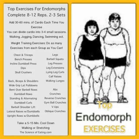 Endomorph Body Type Workout Endomorph Body Type Endomorph