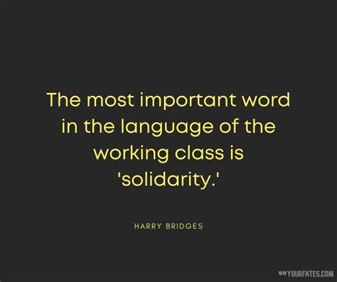 Solidarity Quotes To Make Everyone Unite