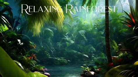 Relaxing Rainforest Rainforest Sounds Amazon Rainforest Jungle Sounds