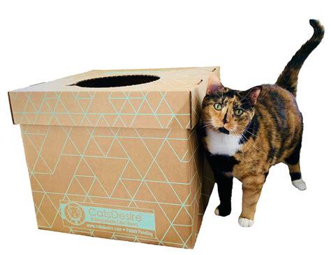 Disposable Biodegradable Cat Litter Box 9 Pc Three Sets Total Etsy