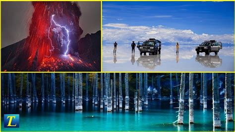Amazing Things In Nature You Wont Believe Actually Exist