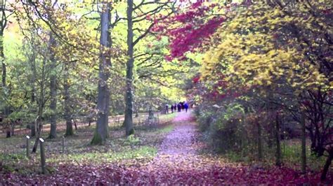 Queenswood Country Park And Arboretum Youtube