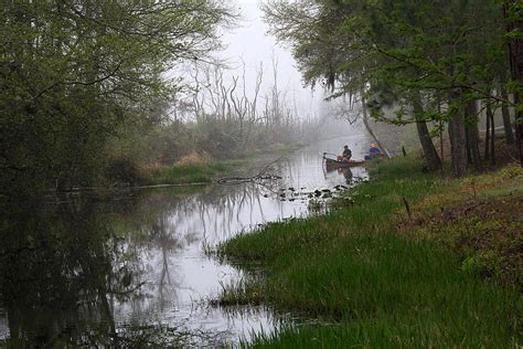 A Foggy Swamp Morning Photograph By Kenneth Albin Fine Art America