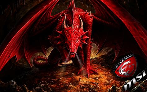 Red Dragon King 1680x1050 Download Hd Wallpaper Wallpapertip