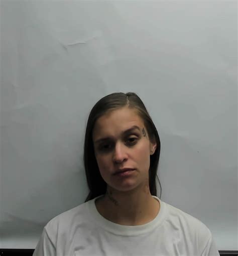 Brittney Nicole Parker Arrest Record Jail Records