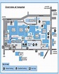 Royal Berkshire Hospital Map | Gadgets 2018