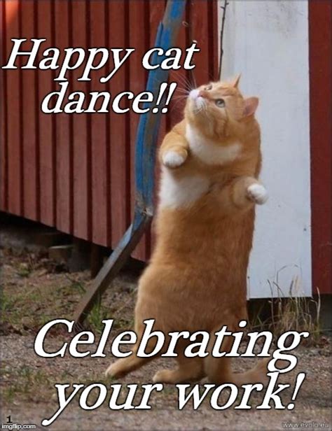 Celebration Cat Meme