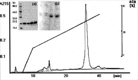 Reverse Phase Chromatography In µbondapack Column Equilibrated With