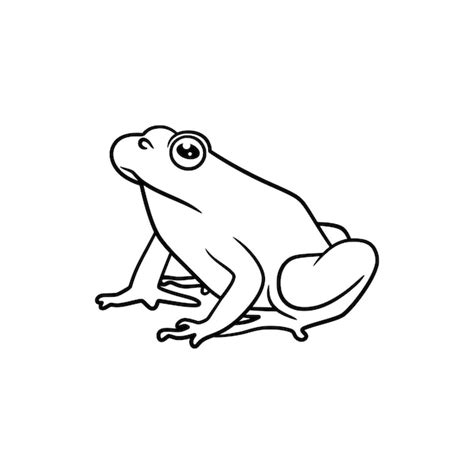 Premium Vector Frog Line Art Drawing Illustration