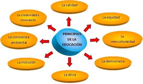 DiseÑo Curricular Nacional Principios De La EducaciÓn