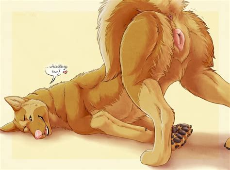Rule 34 2016 Animal Genitalia Animal Pussy Anus Ass Canine Canine