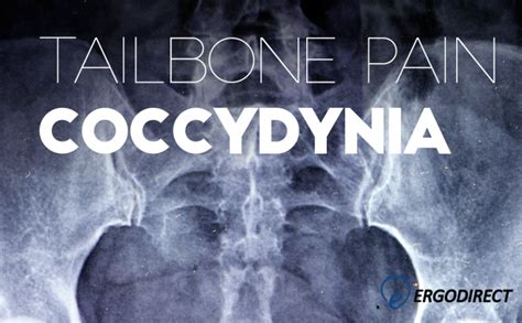 Tailbone Pain Coccydynia Ergodirect Blog