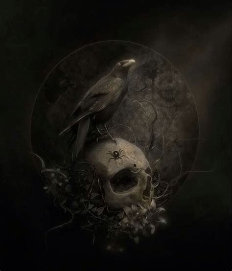 Raven And Skull Crow Skull Raven Skull Skull Art Raven Art Crows