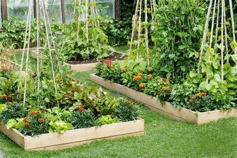 Square foot gardening makes the most of your. All About Raised-Bed Gardens - This Old House