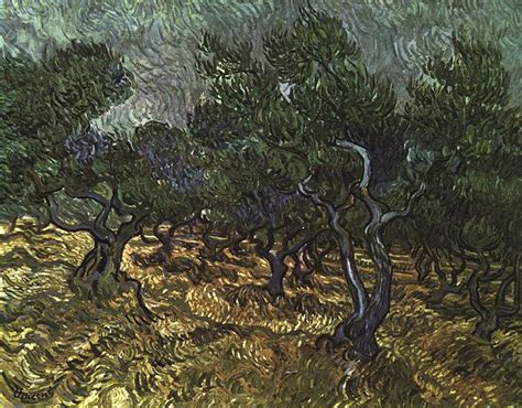Vincent Van Gogh The Olive Grove Art Painting 50 Off Van Gogh Olive