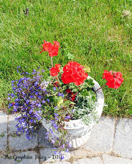 The main flower acts as a guide for positioning the other. Plant a Garden Flower Pot - My Favorite Combo - The ...