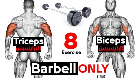 Biceps And Triceps Workout Using Only Barbell Youtube