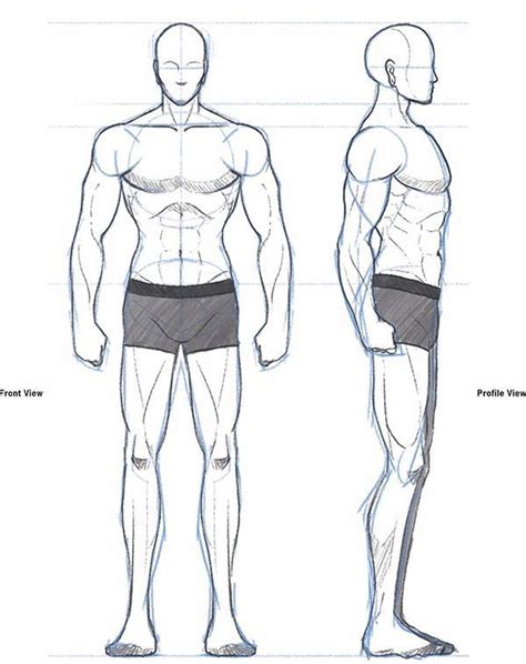 Male Body Reference Drawing Draw Hjr