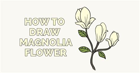Magnolia Flower Drawing Step By Step Floral Seamless Pattern With