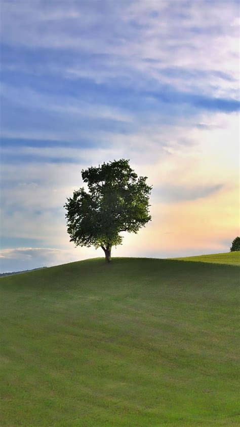 Landscape Nature Grass Field Lone Tree 720x1280 Wallpaper
