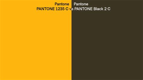 Pantone 1235 C Vs Pantone Black 2 C Side By Side Comparison