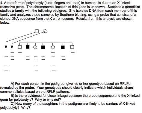 According to chromosomal theory of inheritance, chromosome is the genetic material responsible for mendelian inheritance. Solved: 4. A Rare Form Of Polydactyly (extra Fingers And T... | Chegg.com