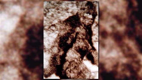 Fbi Releases Bigfoot Files Decades After Credible Sighting In The